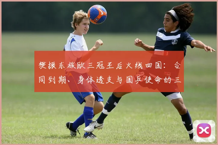 樊振东旅欧三冠王后火线回国:合同到期、身体透支与国乒使命的三重推力