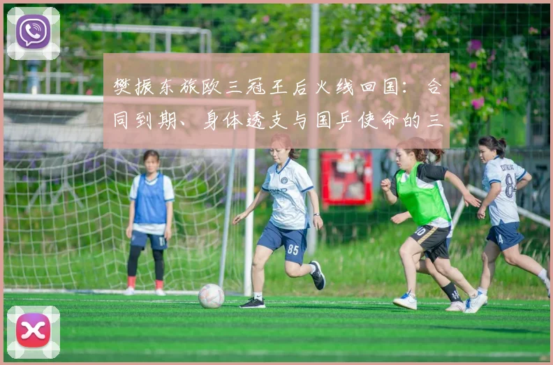 樊振东旅欧三冠王后火线回国:合同到期、身体透支与国乒使命的三重推力