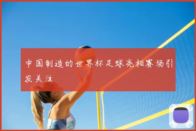 中国制造的世界杯足球亮相赛场引发关注