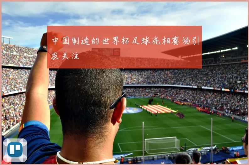 中国制造的世界杯足球亮相赛场引发关注