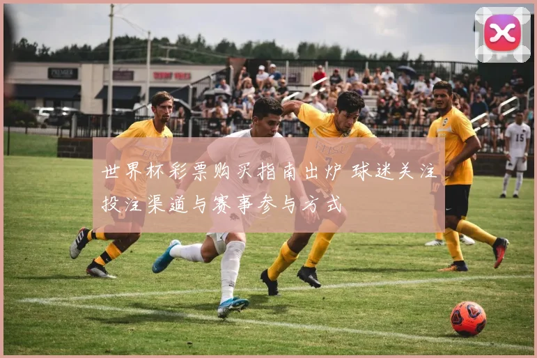 世界杯彩票购买指南出炉 球迷关注投注渠道与赛事参与方式