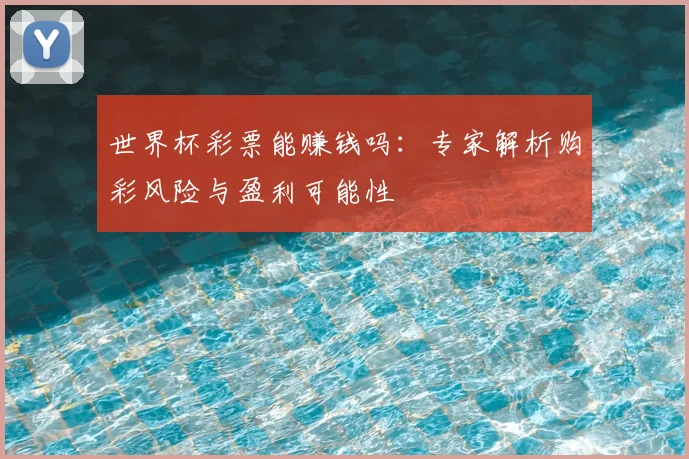 世界杯彩票能赚钱吗：专家解析购彩风险与盈利可能性